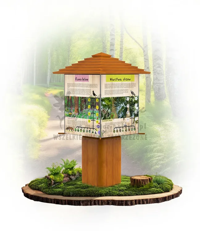 MULTIBWL_budowa warstwowa lasu_dąb_webp.webp