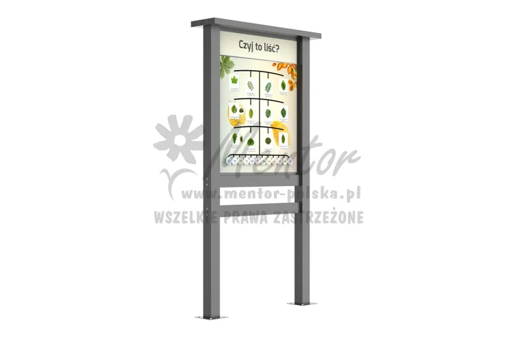 6_webp.webp