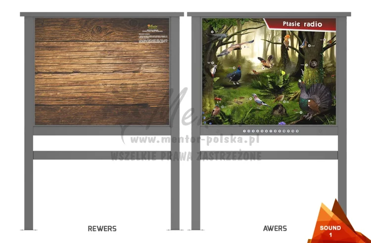 01_webp.webp