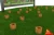 03_webp.webp
