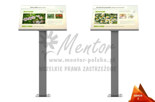 02_webp.webp