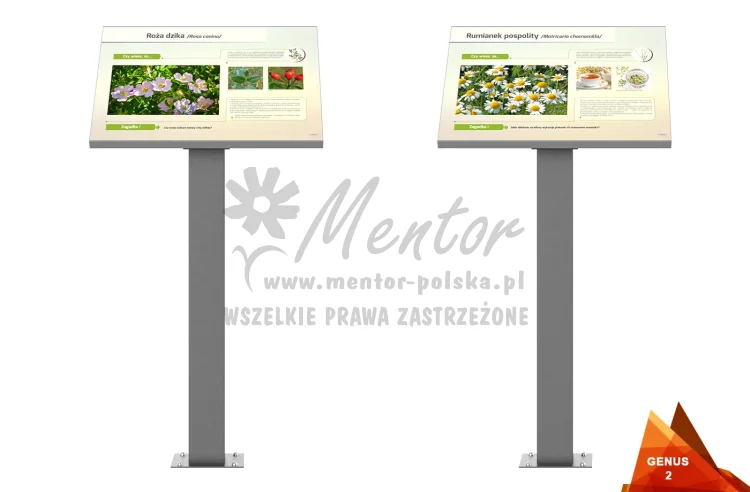 02_webp.webp