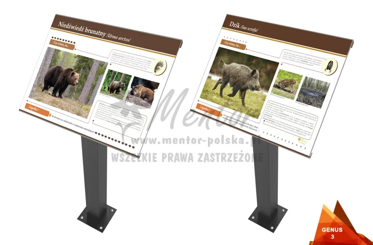 03_webp.webp