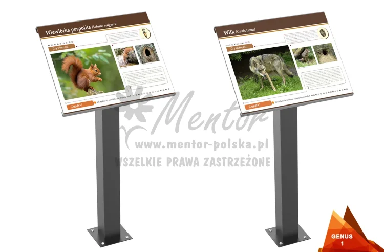 01_webp.webp