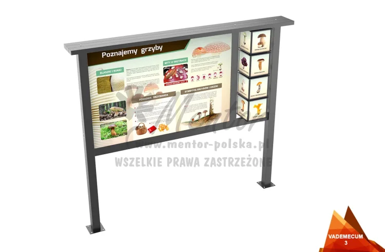 03_webp.webp
