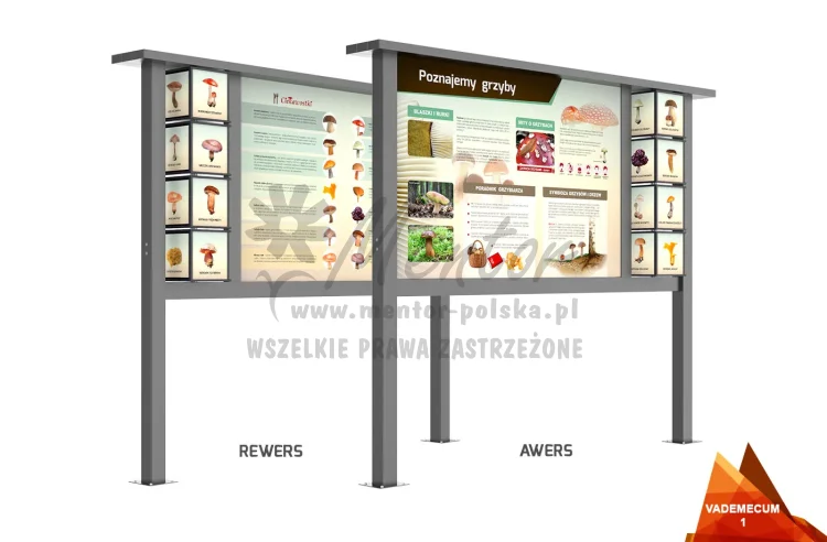 01_webp.webp