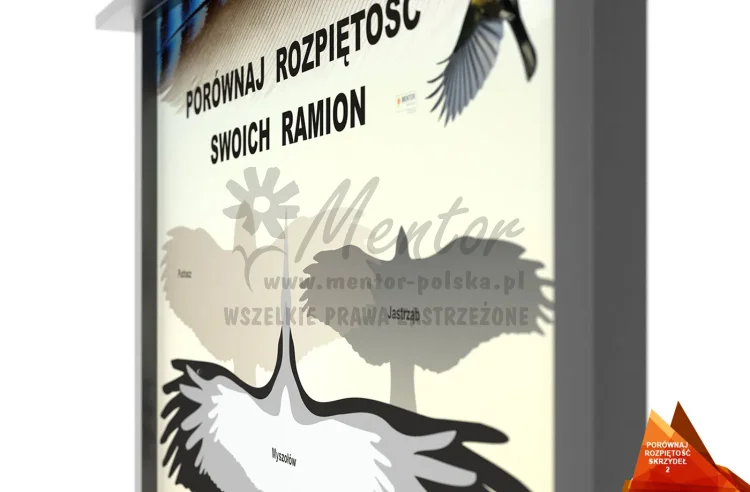 2_webp.webp