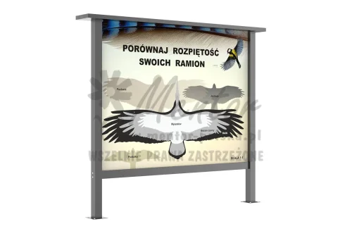 35_webp.webp