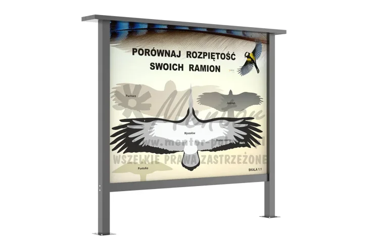 35_webp.webp