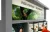 4_webp.webp