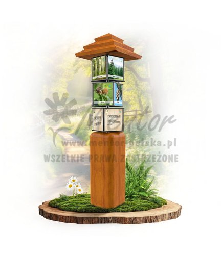 SWI14 - Drzewa leśne_dab.jpg