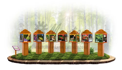 Giga kostki - leśny świat_dąb_webp.webp