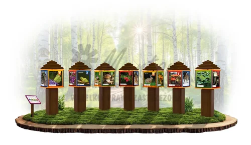 Giga kostki - leśny świat_brąz_webp.webp