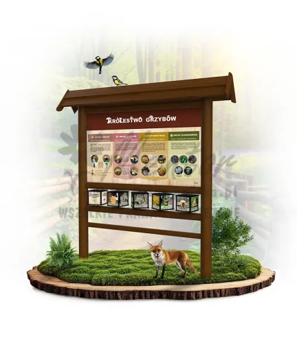 SPR06 - Sprawność - Mikolog - Królestwo grzybów - brąz_webp.webp