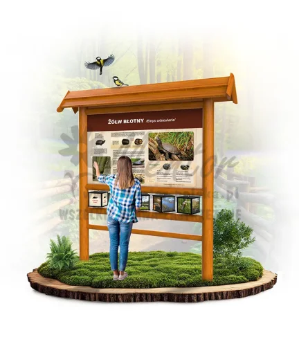 SPR20 - Żółw błotny - dąb_webp.webp