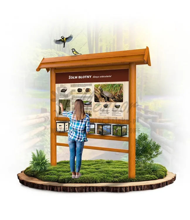 SPR20 - Żółw błotny - dąb_webp.webp