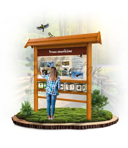 SPR21 - Ptaki drapieżne - dąb_webp.webp