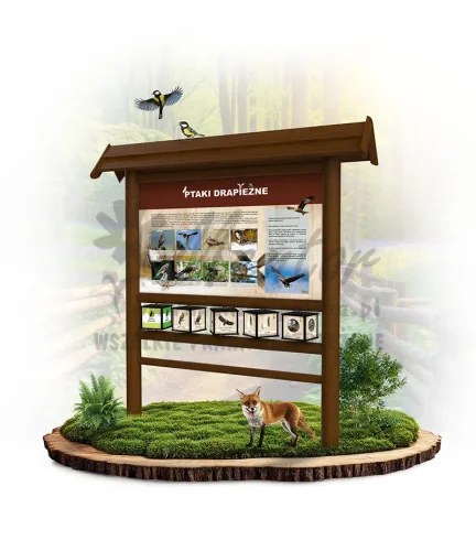 SPR21 - Ptaki drapieżne - brąz_webp.webp