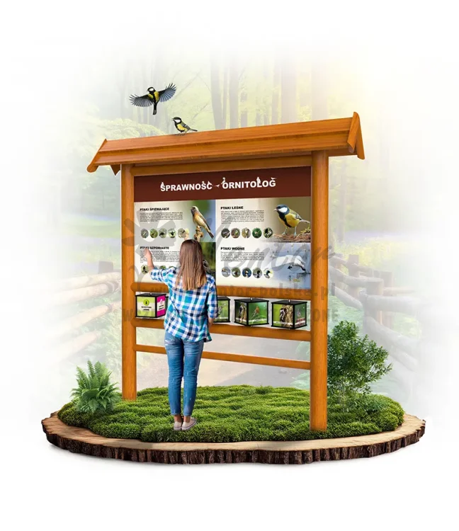 SPR02 - Ornitolog - Poznajemy ptaki - dąb_webp.webp
