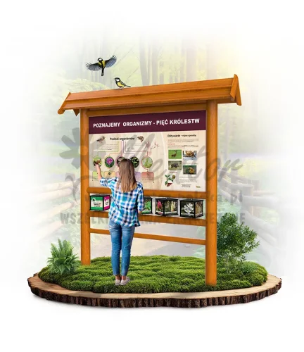 SPR15 - Poznajemy organizmy - 5 królestw - dąb_webp.webp