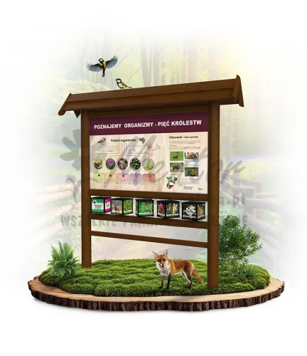 SPR15 - Poznajemy organizmy - 5 królestw - brąz_webp.webp