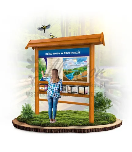 SPR23 - Obieg wody w przyrodzie - dąb_webp.webp