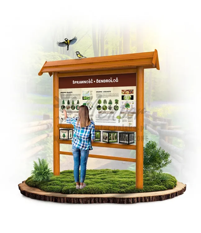 SPR03 - Dendrolog - poznajemy drzewa - dąb_webp.webp