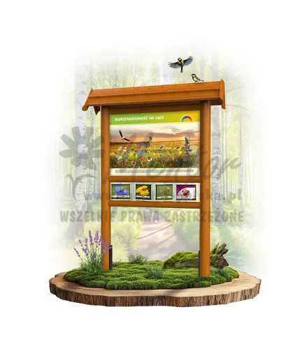 SRD01 - Bioróżnorodność na łące - dąb_webp.webp