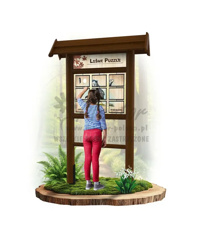 LEŚNE PUZZLE - JASTRZĄB GOŁĘBIARZ RYBOŁÓW - BRĄZ_webp.webp