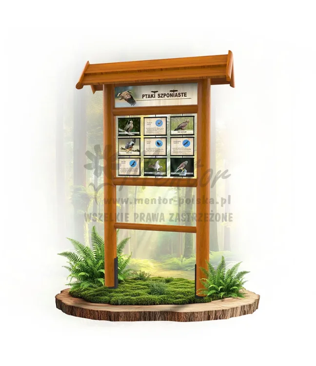 Seria poznawcza - Ptaki szponiaste_dąb