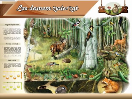 Tablica edukacyjna dla dzieci - Las domem zwierząt