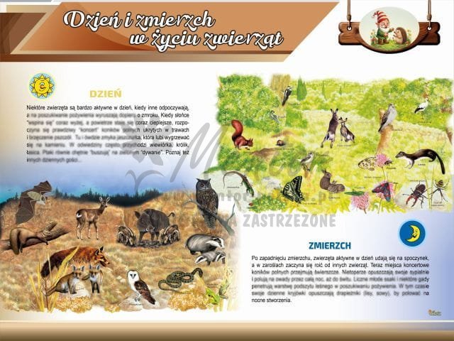 5. Dzień i zmierzch w życiu zwierząt.jpg