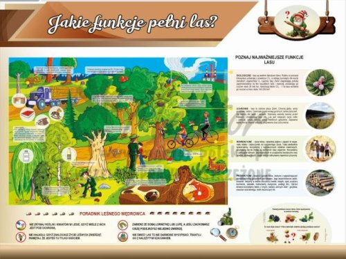 Tablica edukacyjna dla dzieci - Jakie funkcje pełni las?