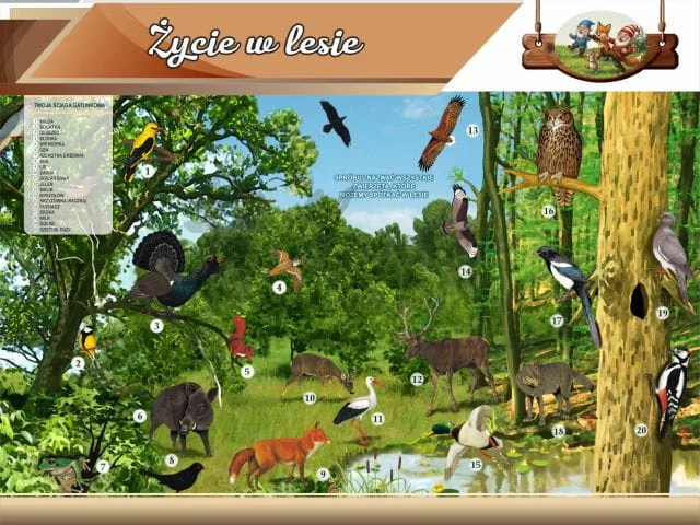 Tablica edukacyjna dla dzieci - Życie w lesie