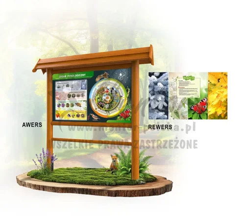 KWT09 - Zegar fenologiczny - dąb rewers.webp