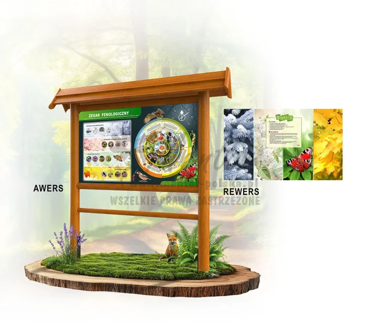 KWT09 - Zegar fenologiczny - dąb rewers.webp