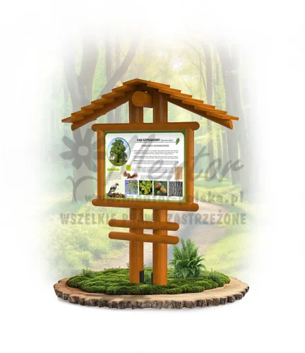 Stelaż SD19_dąb_webp.webp