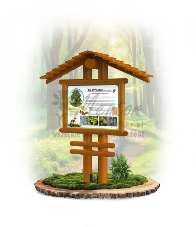 Stelaż SD19_dąb_webp.webp