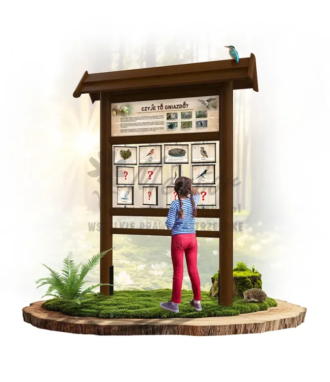 PAM02 - Czyje to gniazdo - brąz_webp.webp