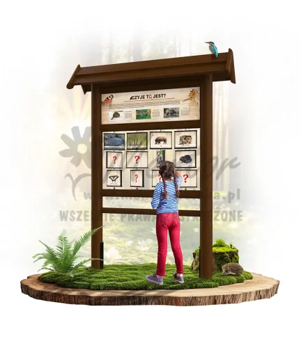 PAM03 - Czyje to jest - brąz_webp.webp