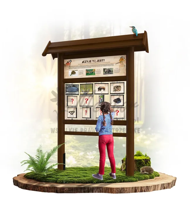 PAM03 - Czyje to jest - brąz_webp.webp