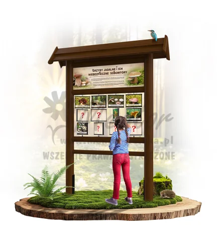 PAM05 - Grzyby jadalne i ich niebezpieczne sobowtóry - brąz_webp.webp