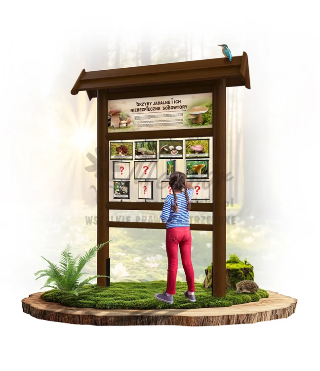 PAM05 - Grzyby jadalne i ich niebezpieczne sobowtóry - brąz_webp.webp