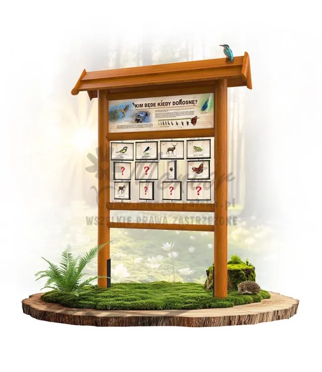 PAM06 - Kim będę kiedy dorosnę - dąb_webp.webp