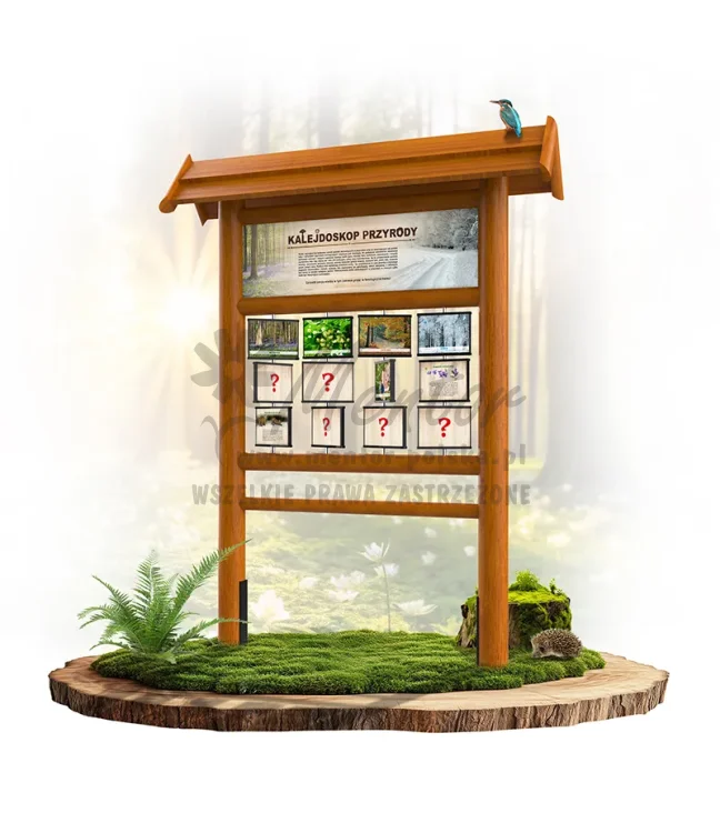 PAM07 - Kalejdoskop przyrody - dąb_webp.webp