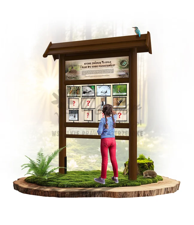 PAM08 - Które zwierzę tu było i ślad po sobie pozostawiło - brąz_webp.webp