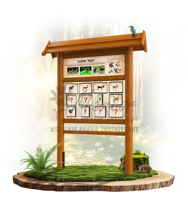 PAM09 - Leśne pary - dąb_webp.webp