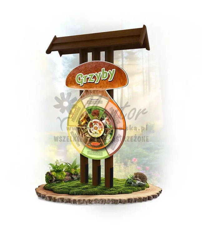 10 KWG-KP - Grzyby_braz_webp.webp