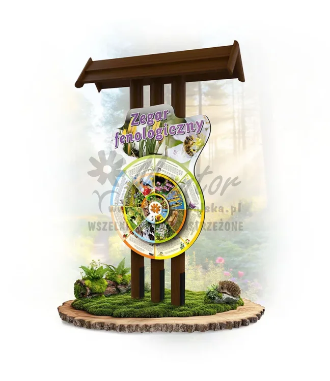 28 KWZF-KP - Zegar fenologiczny_braz_webp.webp