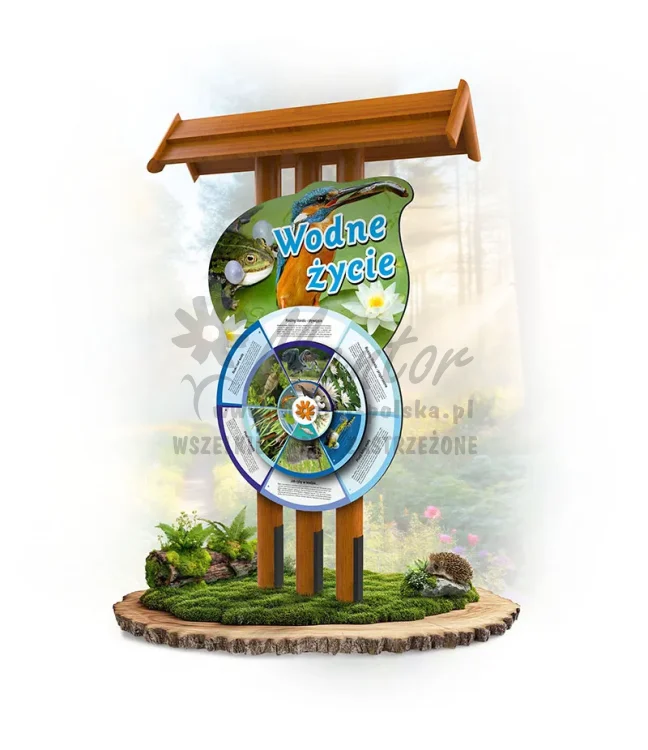 27 KWWŻ-KP - Wodne życie_dab_webp.webp